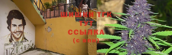 кокс Алзамай